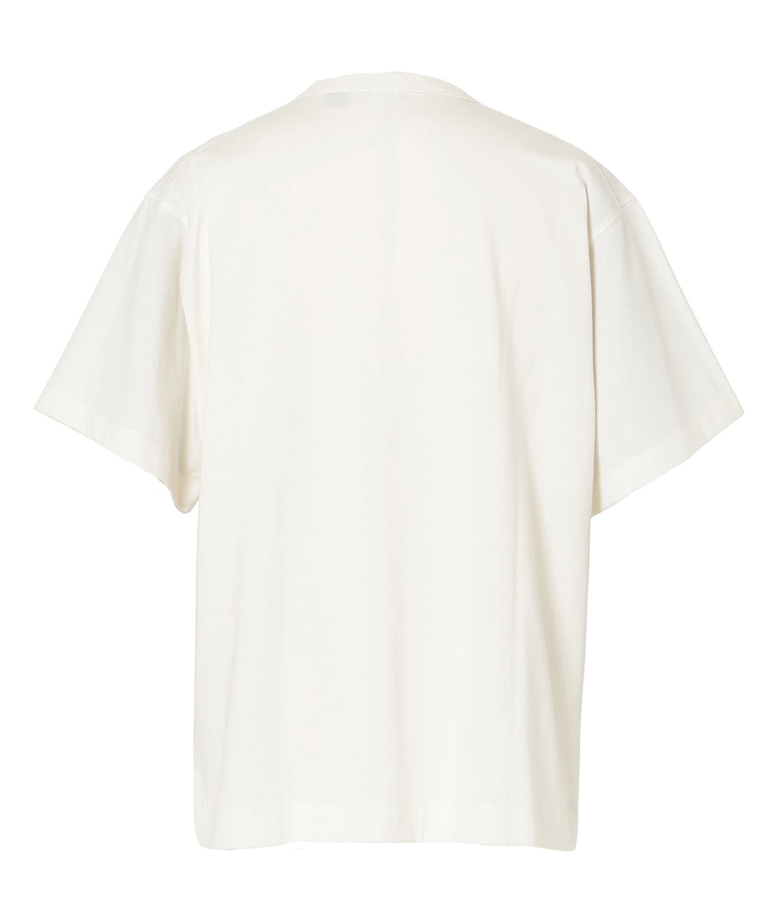 エコハイブリッド ラインドローイン Tシャツ